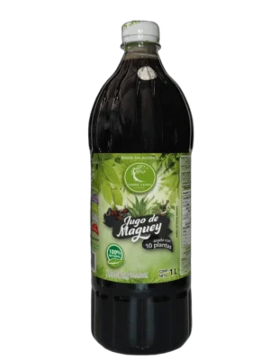 jugo de maguey asado con 10 plantas